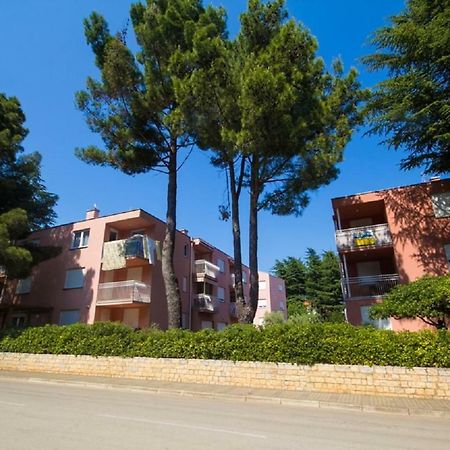 Roza Apartment Novigrad Istria エクステリア 写真