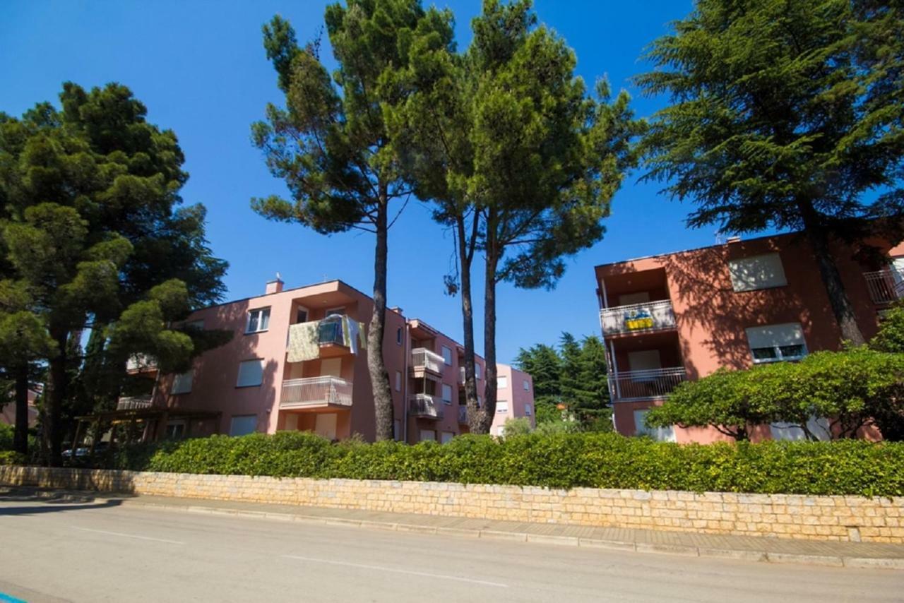 Roza Apartment Novigrad Istria エクステリア 写真